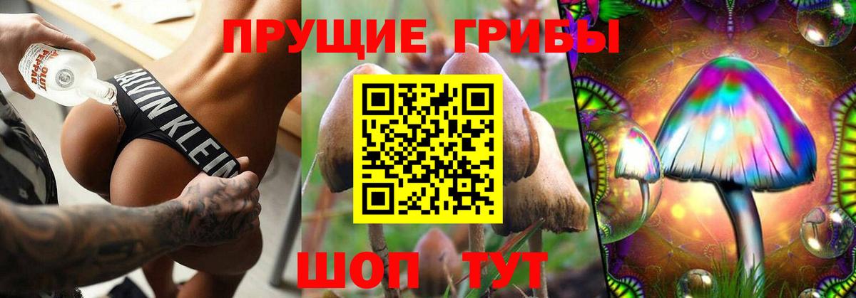 Галлюциногенные грибы Magic Shrooms  Вход с VPN  Ленинск-Кузнецкий 